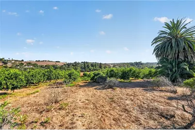 2864 Live Oak Park, Fallbrook, CA 92028 - Photo 28