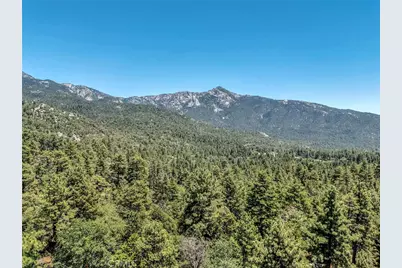 25030 Marion Ridge Drive, Idyllwild, CA 92549 - Photo 8