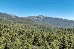 25030 Marion Ridge Dr, Idyllwild, CA 92549 - Photo 8