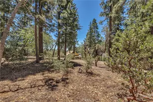25030 Marion Ridge Dr, Idyllwild, CA 92549 - Photo 12