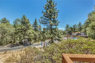 25030 Marion Ridge Dr, Idyllwild, CA 92549 - Photo 46