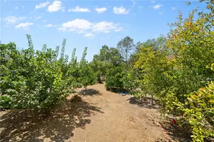 720 Carnation Ln, Fallbrook, CA 92028 - Photo 38