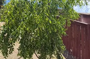 29535 Hyperion, Murrieta, CA 92563 - Photo 24