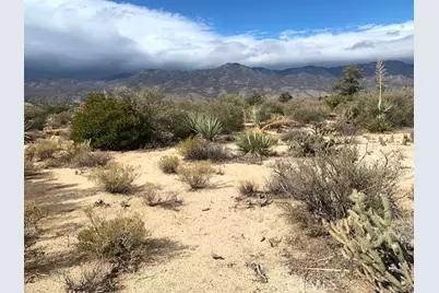 368 Palm Canyon Drive, Mountain Center, CA 92561 - Photo 10
