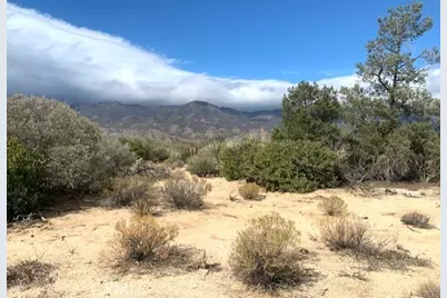 368 Palm Canyon Drive, Mountain Center, CA 92561 - Photo 14