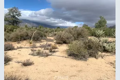 368 Palm Canyon Drive, Mountain Center, CA 92561 - Photo 4