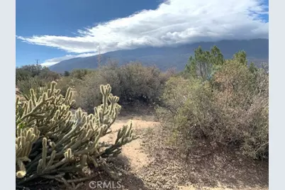 368 Palm Canyon Drive, Mountain Center, CA 92561 - Photo 6