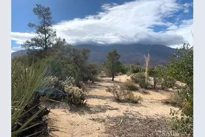 368 Palm Canyon Drive, Mountain Center, CA 92561 - Photo 8