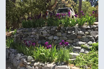 9112 Torrey Pines Road, Forest Falls, CA 92339 - Photo 8
