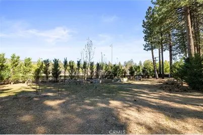 341 Jeffries, Big Bear Lake, CA 92315 - Photo 8