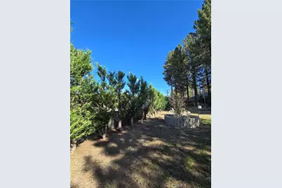 341 Jeffries, Big Bear Lake, CA 92315 - Photo 16