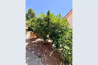 1874 Ash Tree Lane, Hemet, CA 92545 - Photo 56
