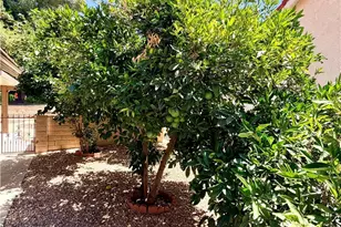 1874 Ash Tree Ln, Hemet, CA 92545 - Photo 56