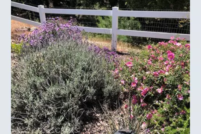 33501 Hidden Hollow, Wildomar, CA 92595 - Photo 60