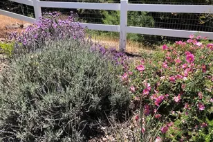 33501 Hidden Hollow, Wildomar, CA 92595 - Photo 60