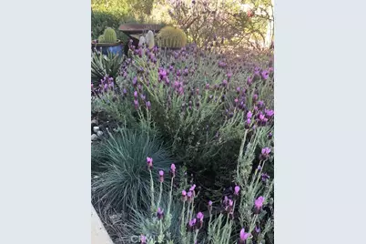 33501 Hidden Hollow, Wildomar, CA 92595 - Photo 46