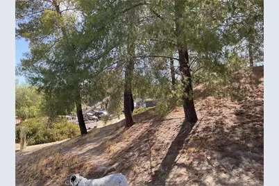 44496 Villager Valley, Aguanga, CA 92536 - Photo 2
