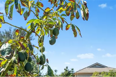 24135 Mirasol Way, Temecula, CA 92590 - Photo 60