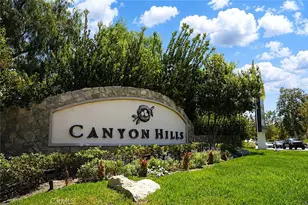 34292 Chaparossa, Lake Elsinore, CA 92532 - Photo 46