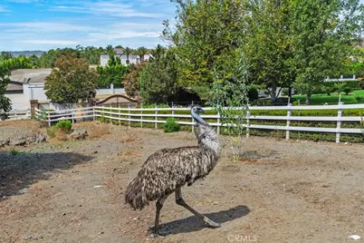 27777 Sycamore Mesa Rd., Temecula, CA 92590 - Photo 68