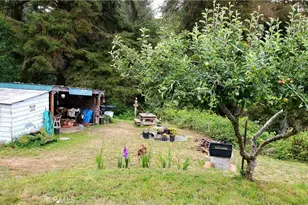 4611 Central Ave, McKinleyville, CA 95519 - Photo 12