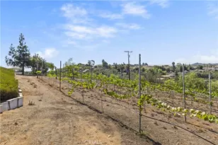 9914 W Lilac Rd, Escondido, CA 92026 - Photo 2