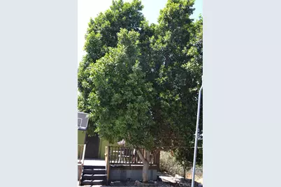 26465 Monroe Lane, Homeland, CA 92548 - Photo 40