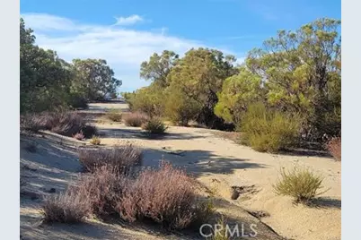 0 Tule Peak, Anza, CA 92539 - Photo 14