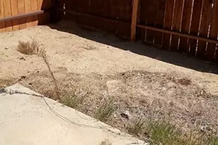 74017 Cactus, 29 Palms MCB, CA 92277 - Photo 22