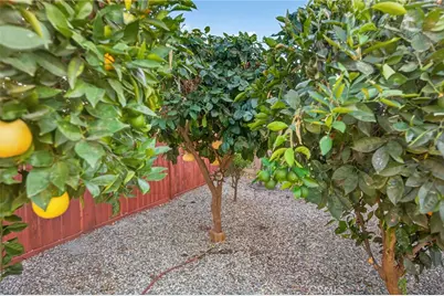 30392 Terrain, Murrieta, CA 92563 - Photo 52