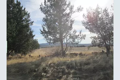 0 Highway 371, Anza, CA 92539 - Photo 2