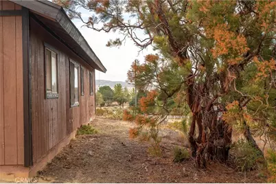 38195 Hill Street, Anza, CA 92539 - Photo 34
