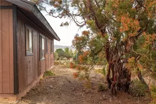 38195 Hill St, Anza, CA 92539 - Photo 34