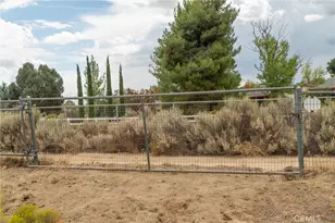 38195 Hill St, Anza, CA 92539 - Photo 32