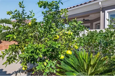 1593 Tanglewood Court, Beaumont, CA 92223 - Photo 22