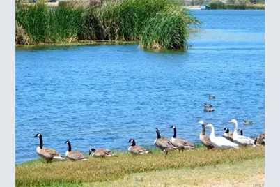 358 Sky Harbor and Lakefront, Aguanga, CA 92536 - Photo 18