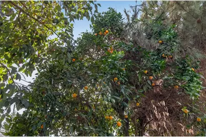 36 E Longden, Arcadia, CA 91006 - Photo 74