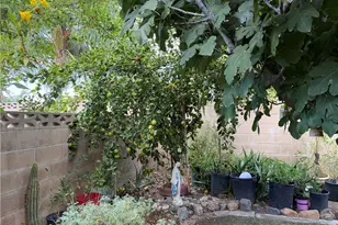 672 Central Ave, Hemet, CA 92543 - Photo 8