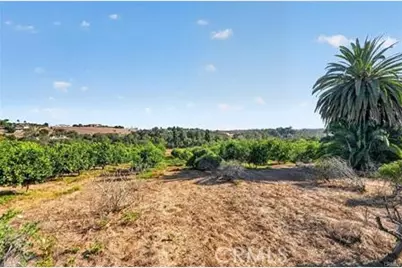 2864 Live Oak Park, Fallbrook, CA 92028 - Photo 6