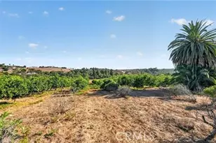 2864 Live Oak Park, Fallbrook, CA 92028 - Photo 6