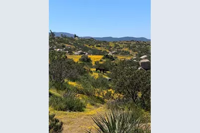 42355 Fresz Road, Aguanga, CA 92536 - Photo 30