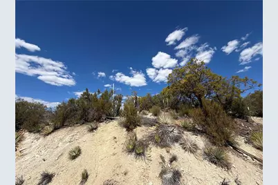 59900 Ramsey Road, Anza, CA 92539 - Photo 32