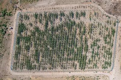 43900 Highway 79, Aguanga, CA 92536 - Photo 8