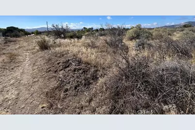 0 Old Forest Road, Anza, CA 92539 - Photo 14