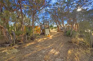 56575 Dickson Way, Anza, CA 92539 - Photo 6