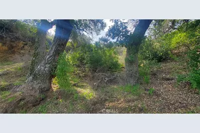 31797 El Cariso Truck Trail, Lake Elsinore, CA 92530 - Photo 14