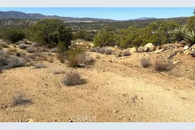 62958 Table Mountain, Anza, CA 92539 - Photo 8