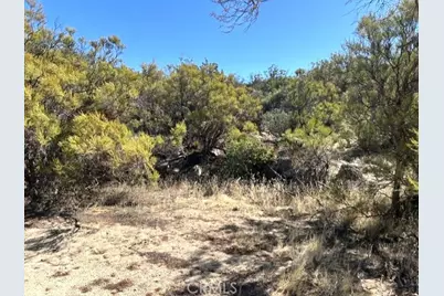62958 Table Mountain, Anza, CA 92539 - Photo 14