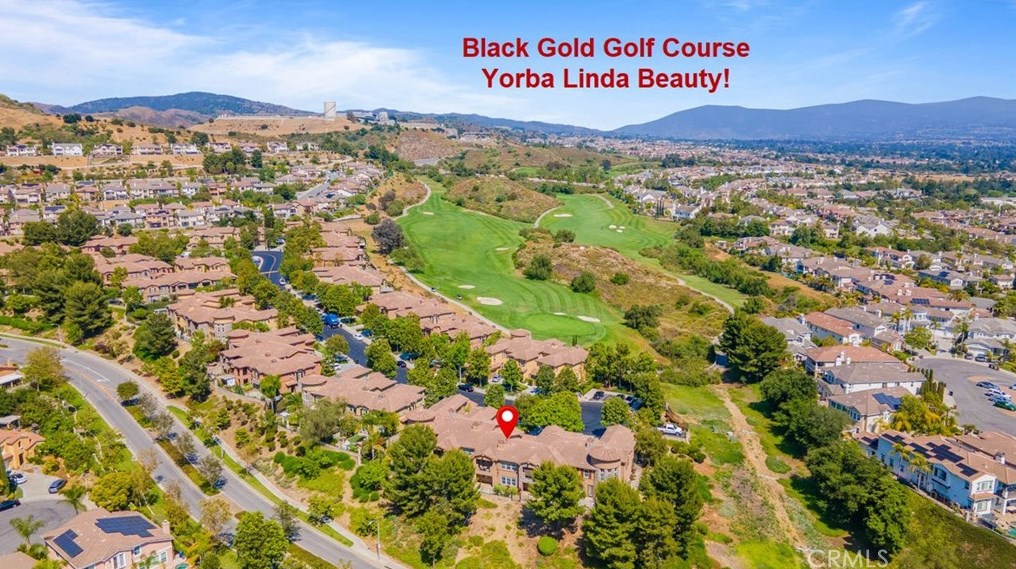 17155 Coriander Ct, Yorba Linda, CA 92886-6250