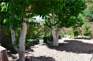 31811 Whispering Palms Trail, Cathedral City, CA 92234 - Photo 12